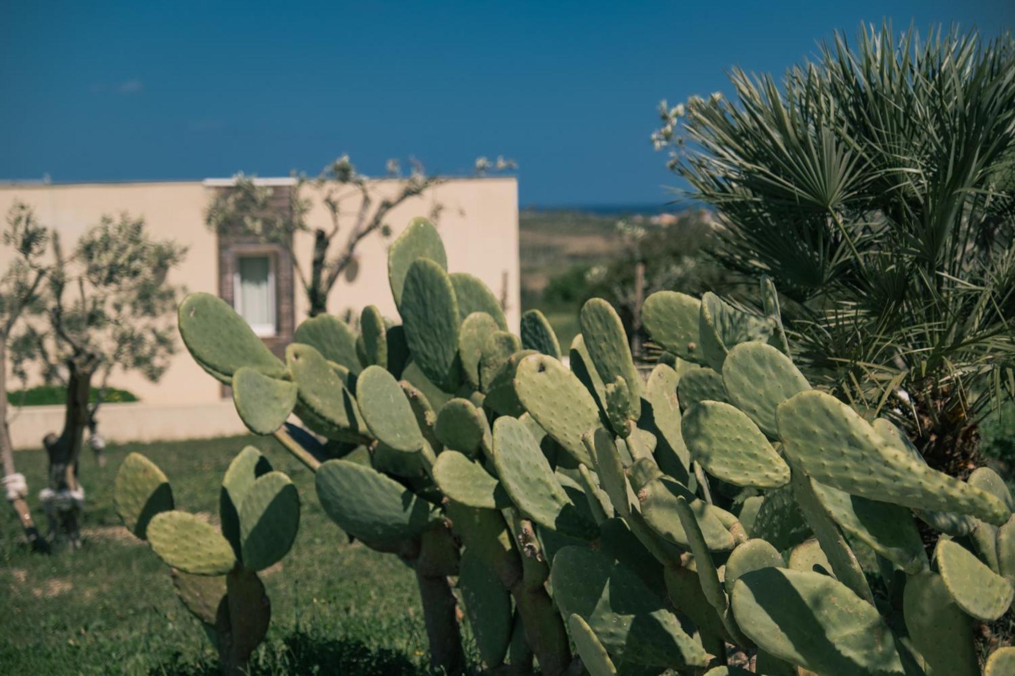 פקינו New Exclusive Lodges, Marzamemi, Noto מראה חיצוני תמונה